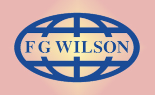 ✓ FG-Wilson 00000-00020 Запчасти Перкинс / Вилсон 